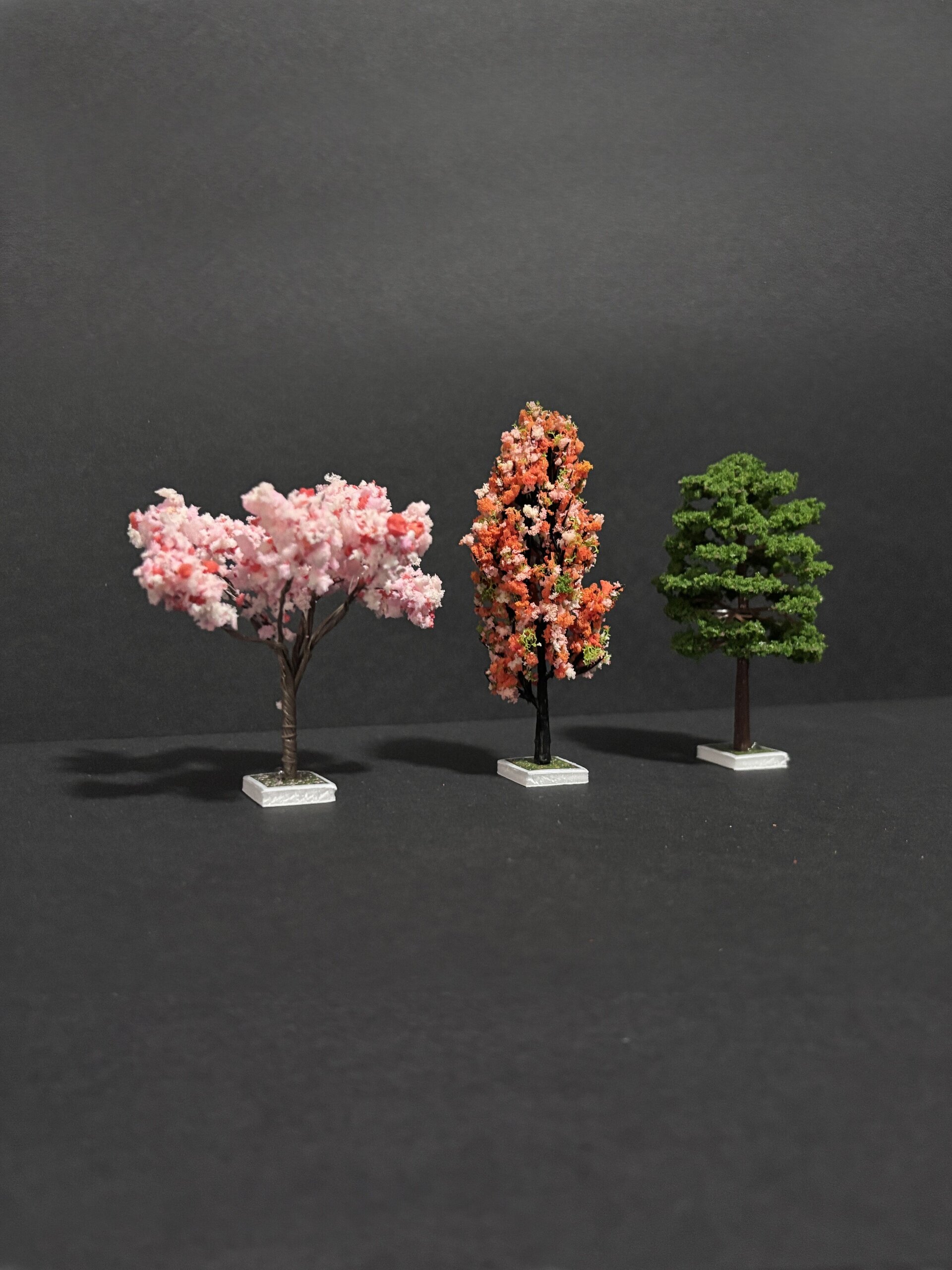 Pack 3 Árboles varios - 5